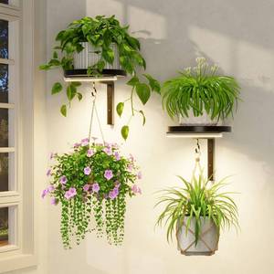 lot 13780 image: LASZOLA Plant Hanger Holder Shelf Wall Indoor with Lights, 2 Pcs Black