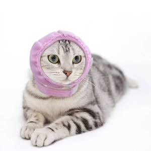 lot 14012 image: Pranovo Cat Ear Cover Breathable Mesh Hood