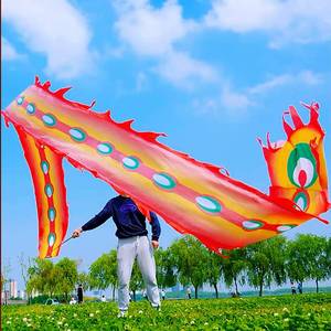lot 20336 image: Square Exercise Dance Outdoor Flinging Fitness Dragon POI Wu Long 3D Real-Like Dragon Ribbon Streamer Set (19.6ft, Fire Phoenix)