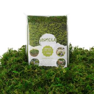 lot 20408 image: USMOLA Artificial Moss 8oz Green