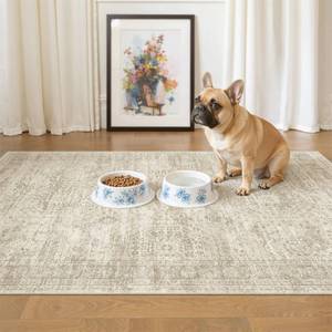 lot 5334 image: Soalmost 3x4 Rugs Non-Slip, Small Washable Kitchen Entryway Area Rug Beige