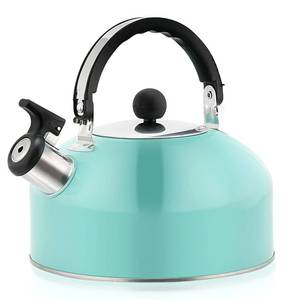 lot 7156 image: YIKANGHENG 3L Stainless Steel Tea Kettle, Light Blue