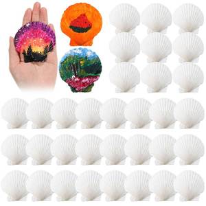 lot 9801 image: GlikCeil 50 Pcs Sea Shell for Crafting, Natural Scallop Shells, 2.8-3.1