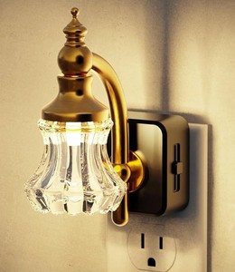 lot 2457 image: LED Night Light with Dusk to Dawn Sensor No.001 US