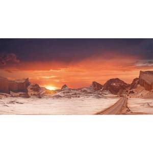 lot 2165 image: A 72x18 in Sun Desert Terrarium Backdrop Orange Reptile Habitat Background