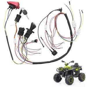 lot 2218 image: 6V 12V 24V DIY Wire Harness Electric Conversion Kit for Kids Ride On Toys Car,Set of Wire Harness Switch for Children Power Wheels Trax Upgrade Replacement Parts