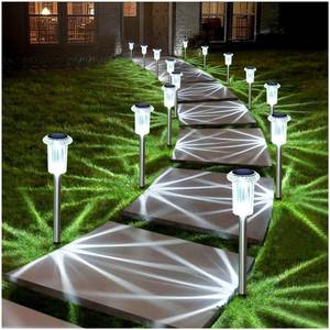 lot 13986 image: DenicMic Solar Pathway Lights 10-Pack Cool White