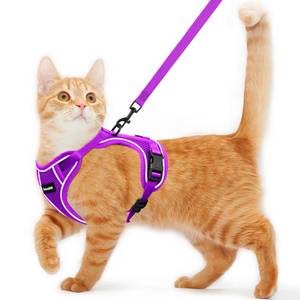 lot 8042 image: Cat Harness and Leash for Walking Escape Proof Soft Adjustable Cat Leash
