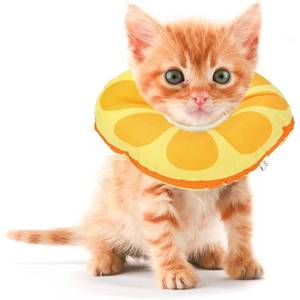 lot 8485 image: Jevnd Kitten Cones After Surgery 0-6 Months, Donut Extra Small Cone Collar