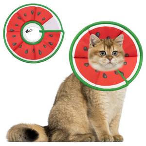 lot 10268 image: Maiiu Soft Adjustable Cat Cone Collar, Comfortable Cat Recovery Collar