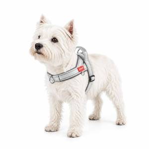 lot 14454 image: Pangdi No-Pull Dog Harness with Handle, Reflective, Medium