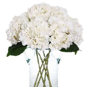 lot 1027 image: Kimuras Cabin 6pcs White Hydrangea Artificial Flowers Silk Fake Hydrangeas