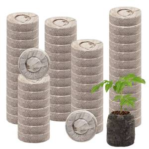 lot 2454 image: Halatool 55 Pcs 30mm Peat Pellets for Seedlings, Seed Starter Soil