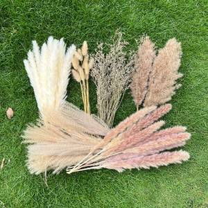 lot 18167 image: CZCTLUL Dried Pampas Grass 100-Piece Bundle 17 Inch