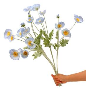 lot 18171 image: Mythlty Silk Poppy Flowers with Stems, Light Blue, Set of 6