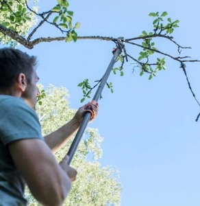 lot 134 image: Fiskars 5 Pruning Stik Tree Pruner