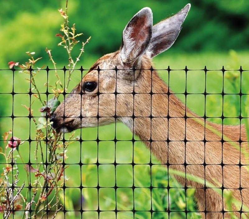 lot 133 image: Tenax Deer Netting - Heavy Duty, 7ft Netting for Gardens - 7 Ft x 100 Ft - Black Polypropylene