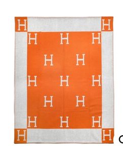 lot 3146 image: Copycat Hermes Throw 60x50 - Retail $0