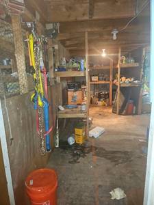 lot 22546 image: Contents of Room - Glade 4-Tier Plastic Shelving Unit and More