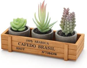 lot 48325 image: DomeStar Set of 3 Mini Potted Artificial Succulent Plants with Wood Planter