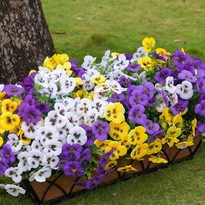 lot 48370 image: SupBri 12 Bundles Artificial Silk Pansy Flowers with Fake Butterflies