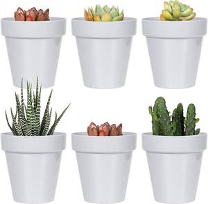 lot 48423 image: Youngever 10 Pack 3 Inch Mini Plastic Planters Indoor Flower Plant Pots, Grey Gardening Pot with Drainage for All House Plants, Flowers, Herbs, Succulents, NO Plant Included (Classic) - COLOR IS GRAY