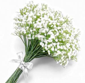lot 48453 image: 12 Pcs Babys Breath Artificial Flowers, Baby Breath Flowers Artificial Bouquet Fake Gypsophila Bulk in Vase Floral Decor for Centerpieces Wedding Brides
