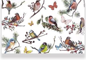 lot 48521 image: 50 Pcs Bird Paper Placemats 11 x 17 Vintage Bird Disposable Place Mat