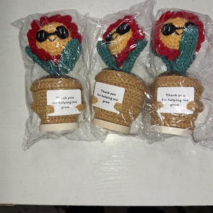 lot 78047 image: 3 Packs RovyFota Handmade Crochet Daisy Flower in Pot with Thank You Card, Cute Teacher Appreciation Gift, Mini Potted Crochet Plant, Positive Desk D cor, Thank You Gift for Mentor, Mom, Coworker, Graduation