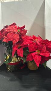 lot 1337 image: Faux Red Poinsettias