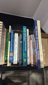 lot 1407 image: Lot of 15 Books Including Trail Painted Ponies Comfort Mothers Guide Contemporary
