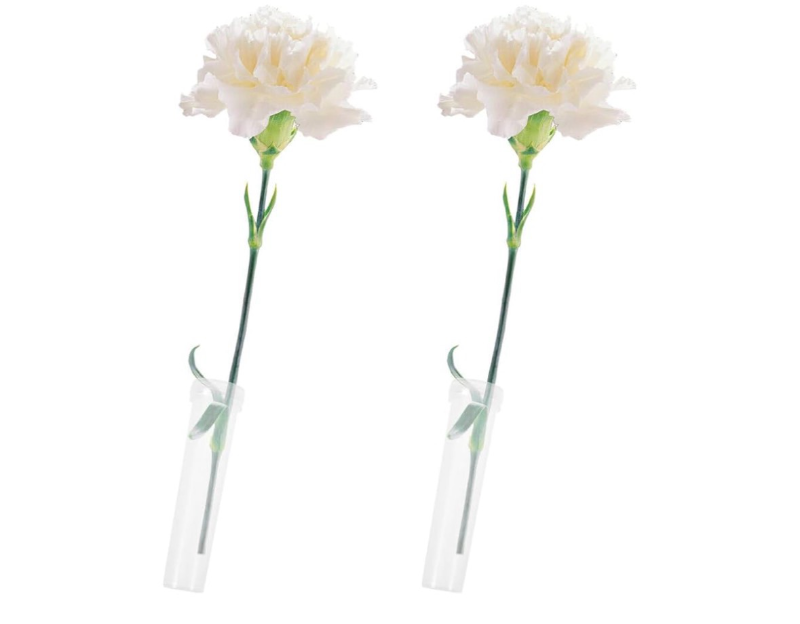 lot 5506 image: TEHAUX 200pcs Floral Water Tubes Essential for Flower Preservation Plant Stem Holders Floral Arrangement Supplies