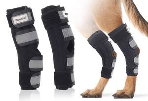 lot 8377 image: Bawektrl Dog Leg Braces for Back Legs, Canine Hock Brace for Rear Legs with Metal Strips and Safety Reflective Straps, Joint Warps Support Help Hind Legs Injuries Sprains Arthritis (1 Pair)