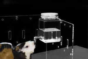 lot 8532 image: GuineaLoft Clear View Water Bottle for Guinea Pigs & Birds - The Ultimate Solution by Seasoned Owners Who Tried Everything Out There - Exclusive by Guinea Loft