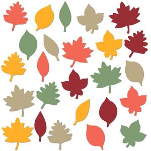 lot 10245 image: Hillban 250 Pcs Fall Leaf Paper Cutouts for Bulletin Boards, 2.4 in