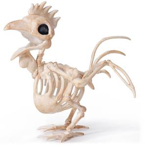 lot 10285 image: JOYIN Rooster Skeleton Halloween Decoration 6.89 Inch Animal Skeleton Plastic Bones with Posable Joints for Yard Garden Graveyard Haunted House Cemetery Outdoor Indoor Table Top Decorations