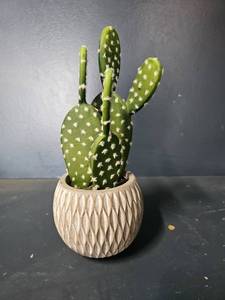 lot 3179 image: Opuntia Faux Cactus Plant- Textured Ceramic Pot