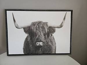 lot 10147 image: Highland Cow  Studio Framed Canvas Art 23 in. x 33 in.