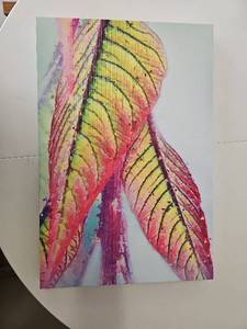 lot 10150 image: Gallery Wrap Canvas Art 16x24