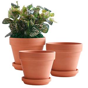 lot 2005 image: Yishang 8-Inch Clay Pot with Saucer, 3-Pack Drainage Hole