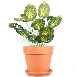lot 2010 image: $55 Yishang 12-Inch Clay Pot with Saucer, 1 Pack, Plant Pot with Drainage