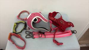 lot 302 image: Dog collars and harnesses