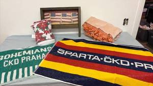 lot 335 image: Towels, velvet curtain panel, kitchen towels and wall hanging.