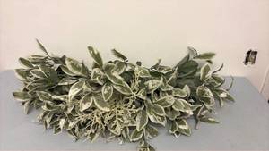 lot 377 image: Faux flowers
