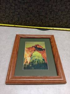 lot 1158 image: Framed Horse Portrait Print w Green Mat