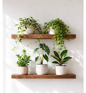lot 781 image: Bamworld Floating Shelves for Wall 2 Pack, Heavy Duty Plant Wall Shelves Wood Hanging Shelf for Planters Living Room Bedroom Bathroom Home Decor, Rustic Brown - Retail $0