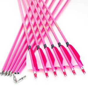 lot 807 image: annastar 30 Carbon Feather Arrows Practice Hunting Arrows Spine 300 340 400 500 600 700 800 for Recurve Bow & Compound Bow (12 pcs) - Retail $60