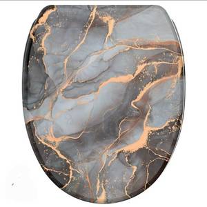 lot 851 image: Sanilo Soft Close Toilet Seat - Retail $60