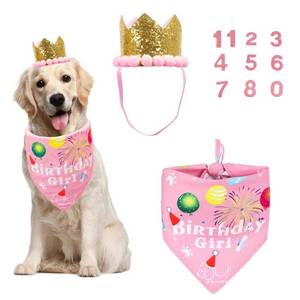 lot 18301 image: Dog Birthday Girl Bandana, Pink Birthday Hat, Age Numbers, Large (missing scarfs) - Retail $13