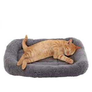 lot 18420 image: Enjoying Cat Mat Bed 10 x 15 Pet Bed with Pillow Around for Puppy Kitten Curled Sleeping Beds for CarrierCrate Small Dog Cushion, Anti Skid Bottom, Small - Retail $14